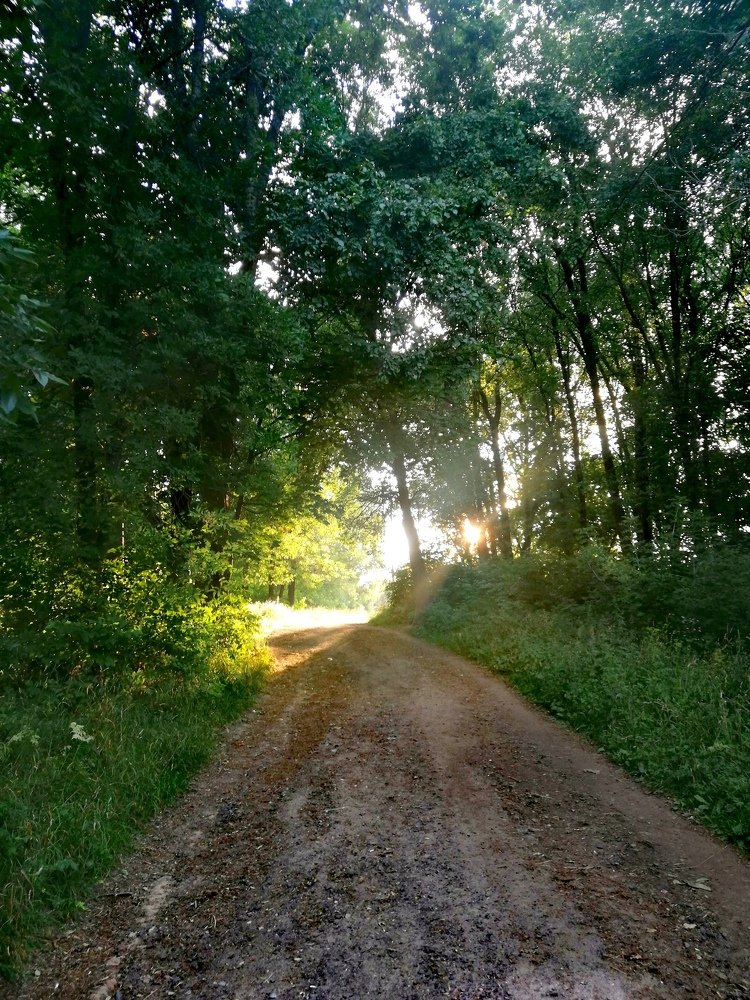 Photograph by Михаил Бородкин