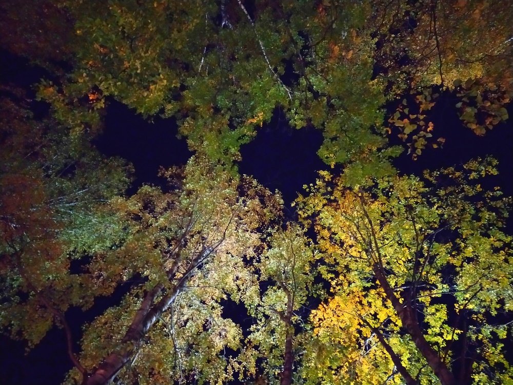 Photograph by Евгения Белоцветова