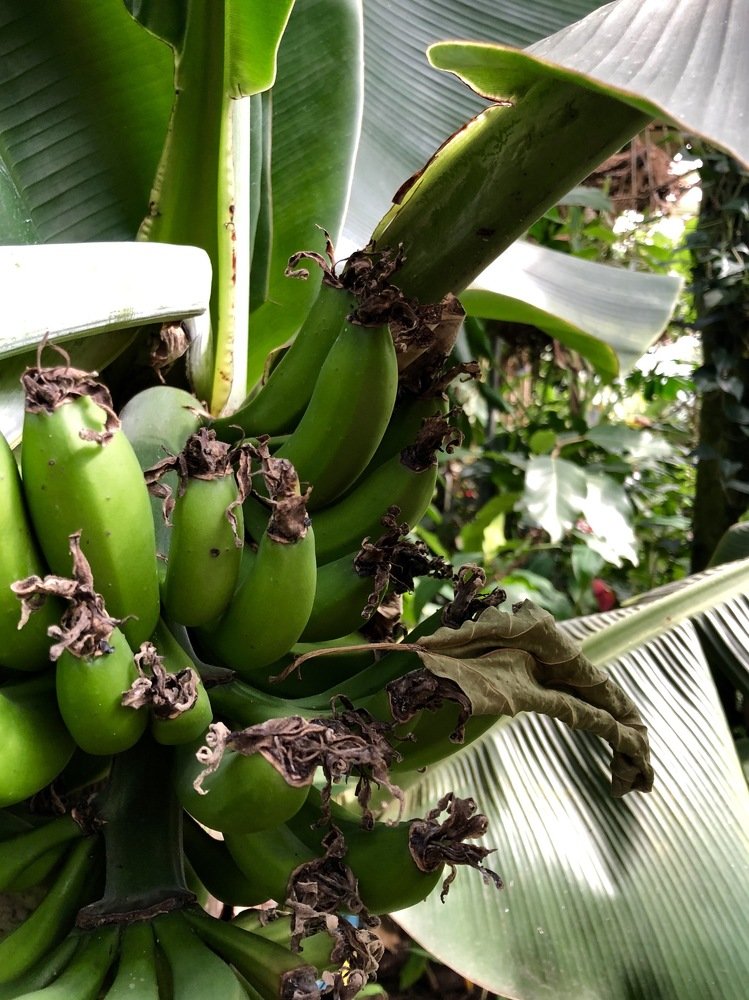 Photograph by Ксения Толканова