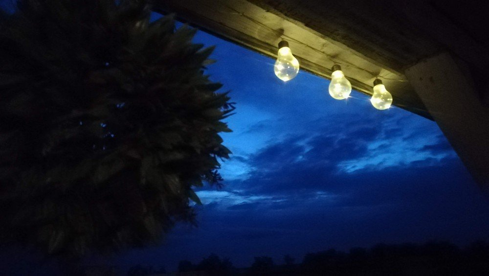 Photograph by Gemelina Opriș