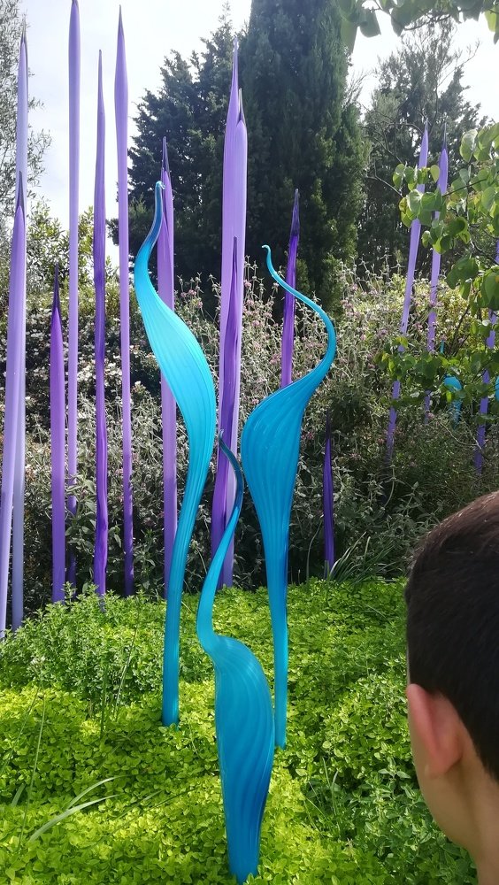 Photograph by Gemelina Opriș