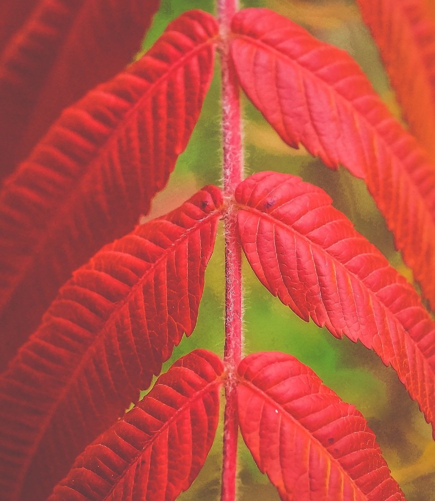 Photograph by Виктор Сёмушкин