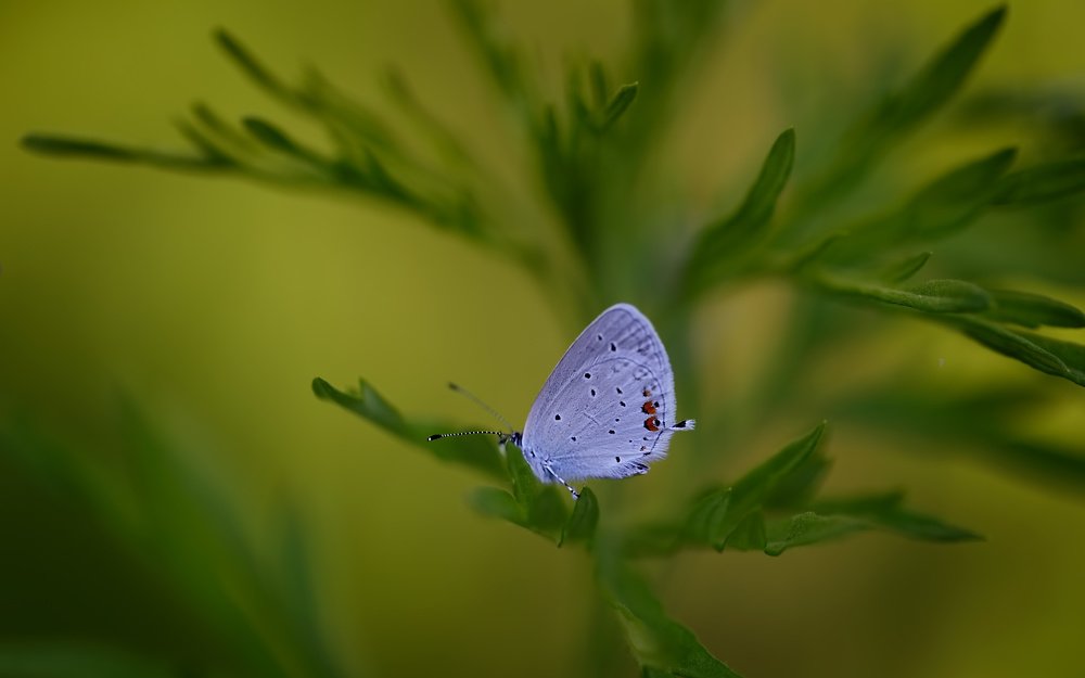 Photograph by Евгений Паршуков