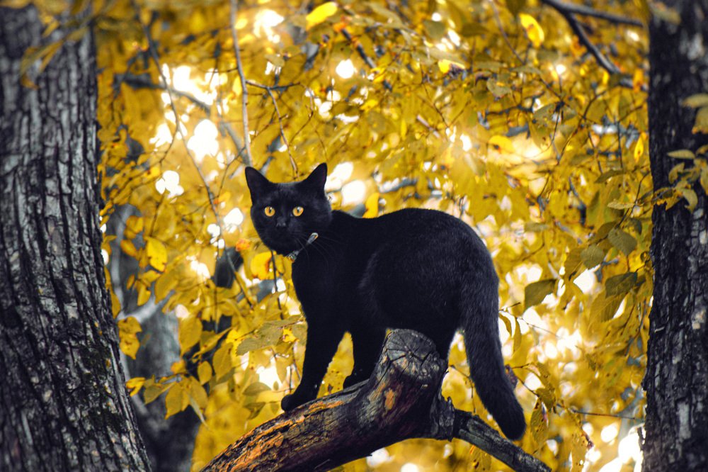 Photograph by Andrey Matveenko