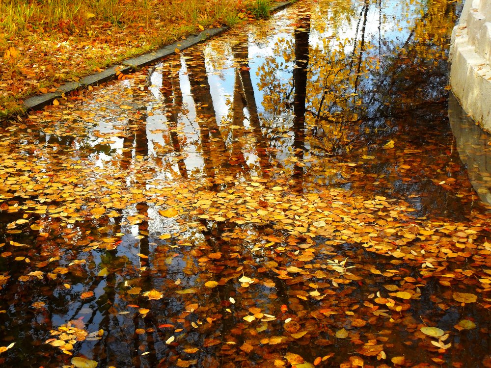 Осенняя акварель