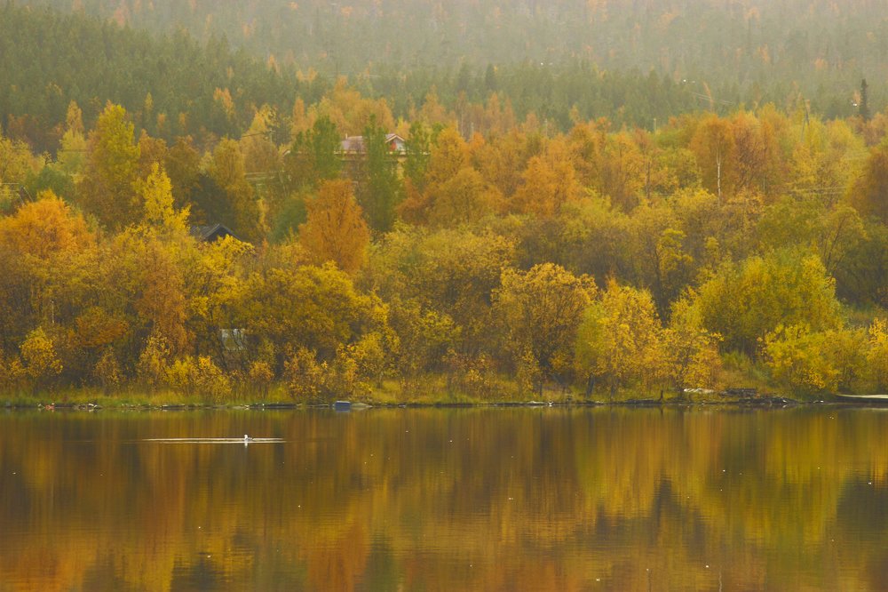 Умиротворение