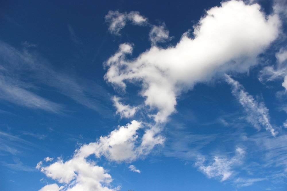 Разлитое молоко