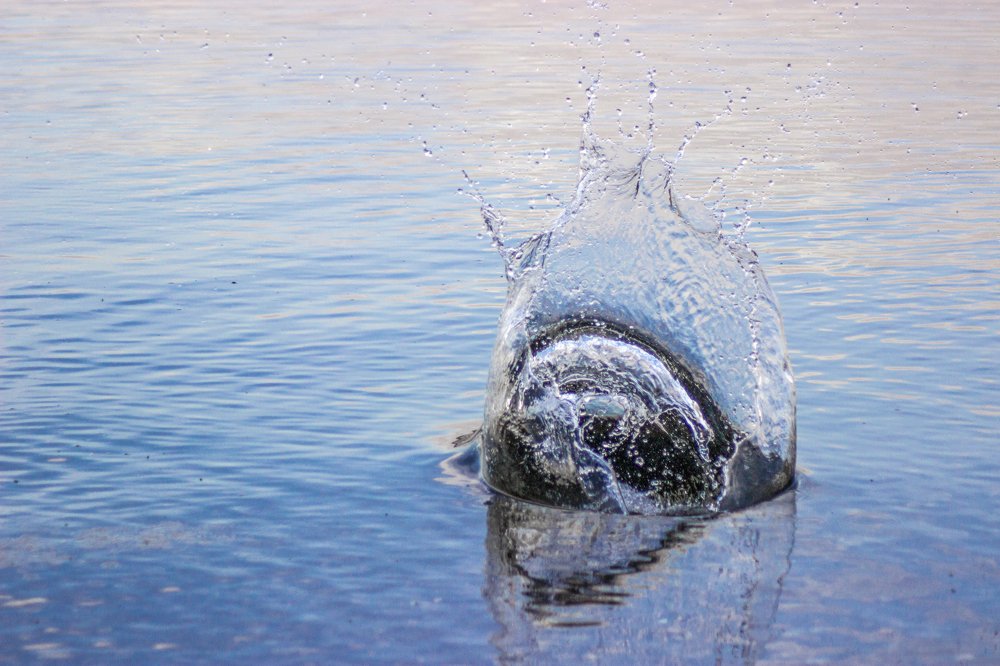 Водяная радуга