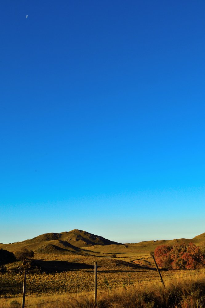 Photograph by Jorge Luis Bravo