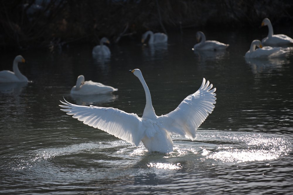 Солнышко моё)))