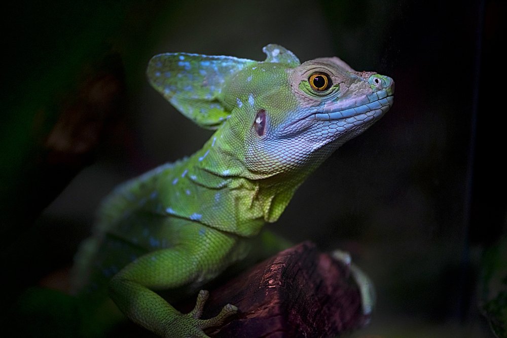 Photograph by Виктория Мейо