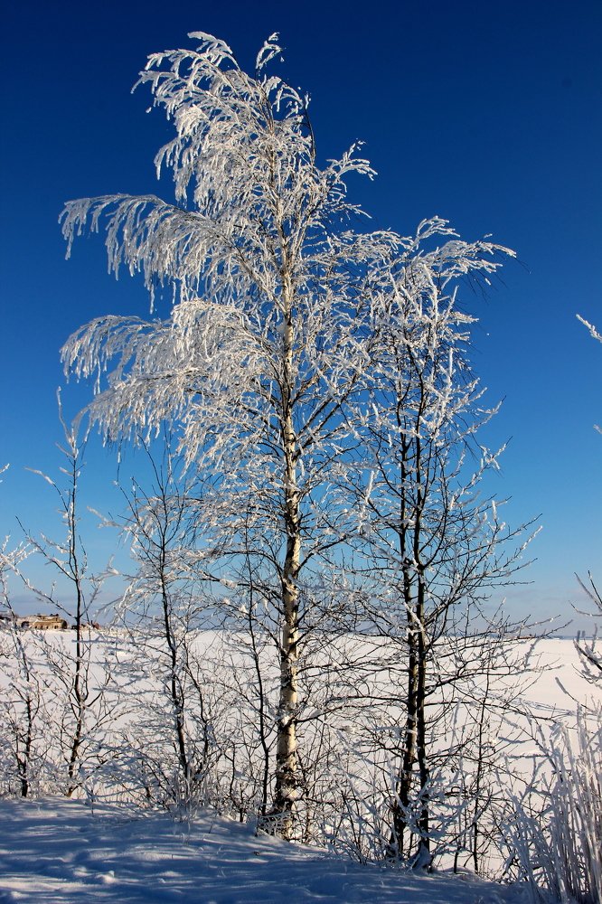 Photograph by Игорь