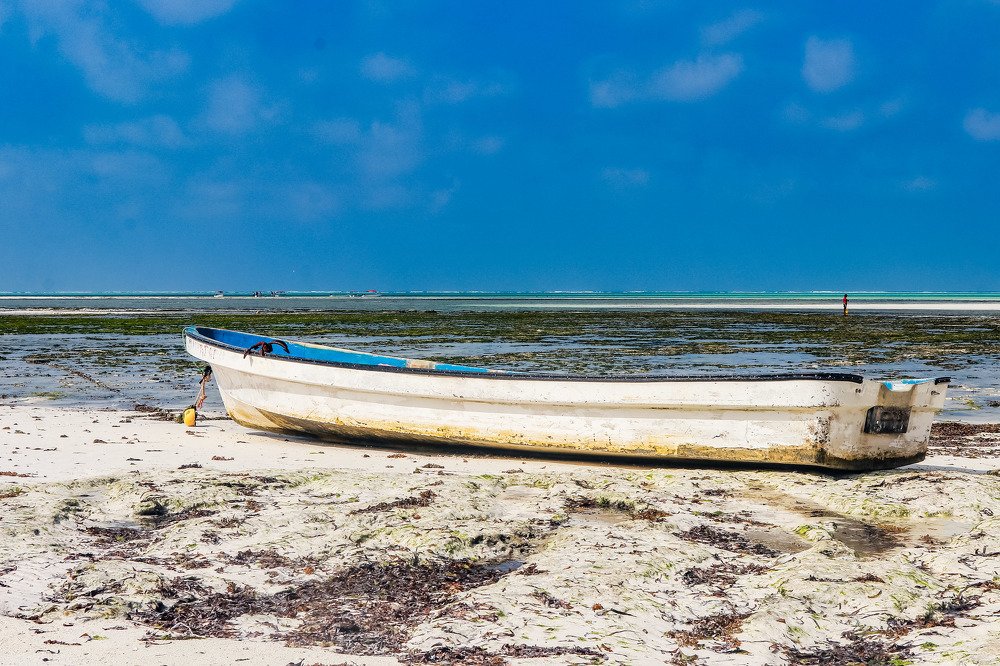 Photograph by Alfredy Jackson