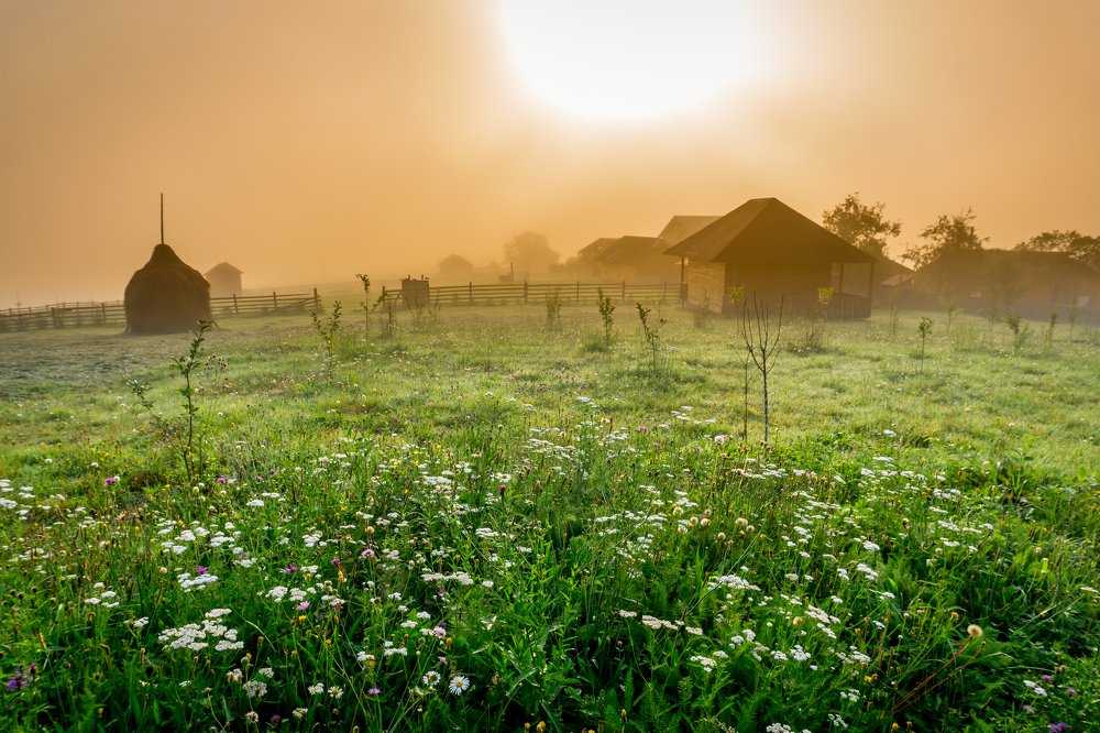 Фотография автора Cornelia Ghergut