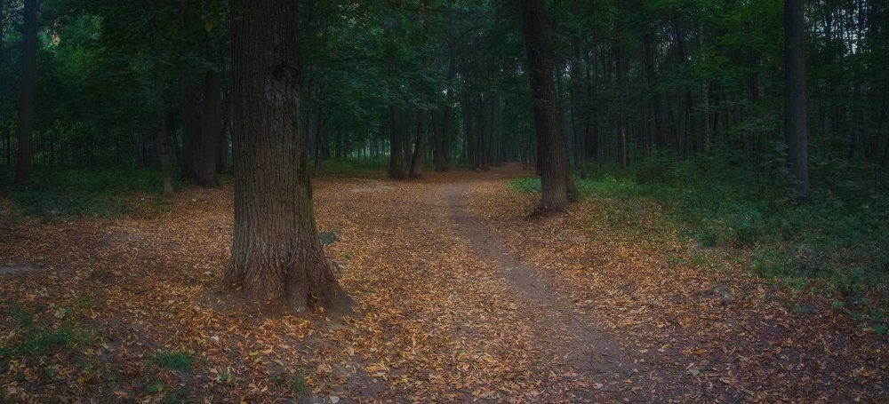 Photograph by Фотерберг