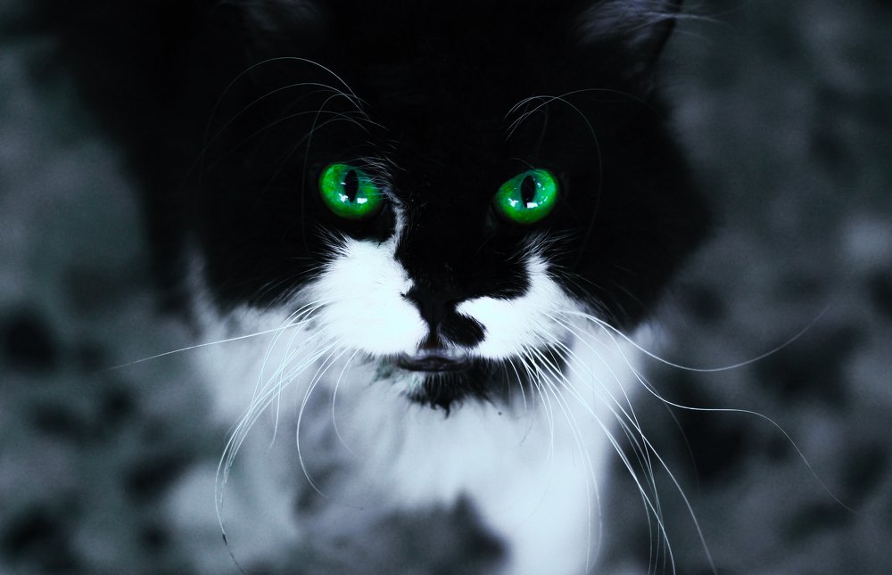 Green in the dark!!!