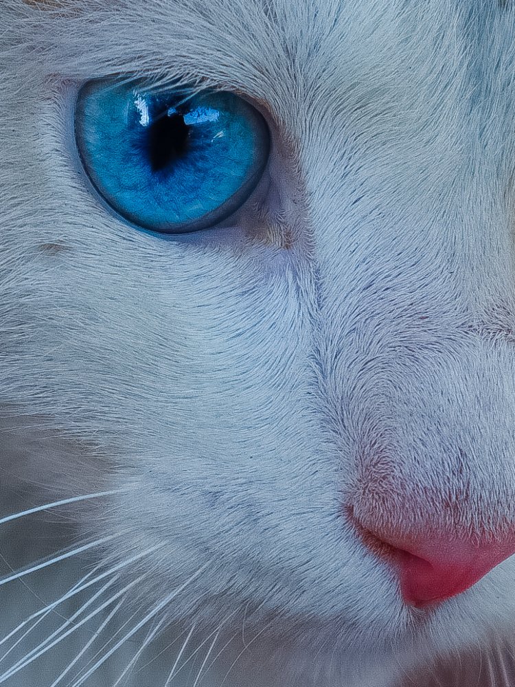 Photograph by Георгий Акопджанов