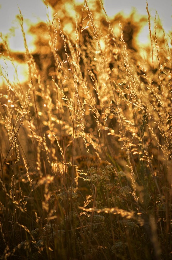 Photograph by Юрий Олейников