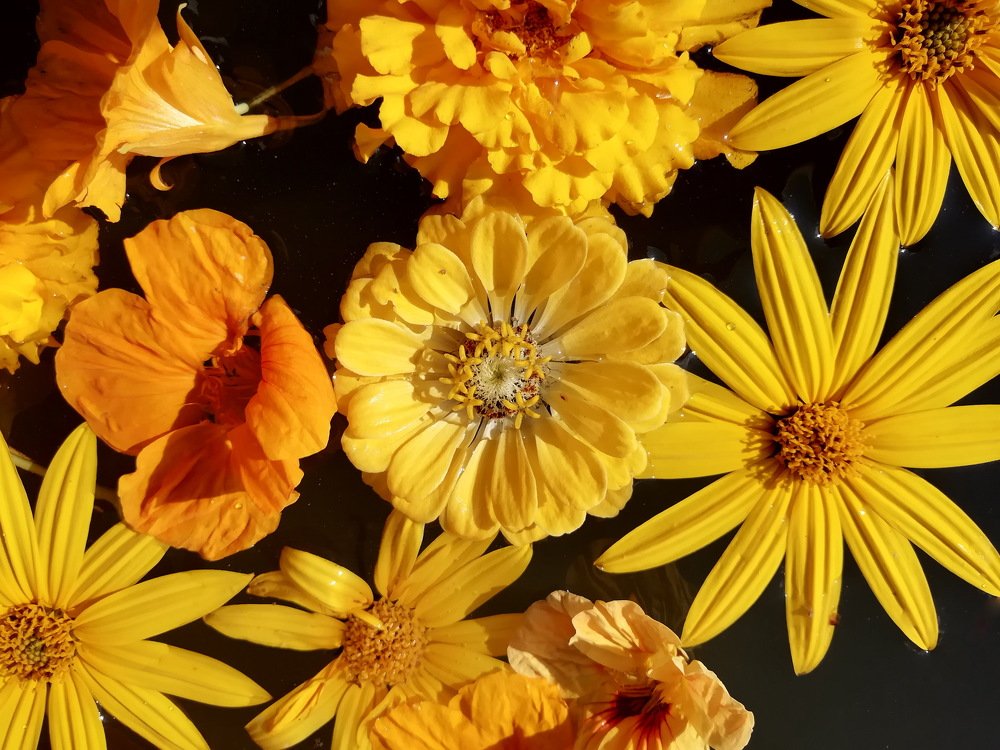 Photograph by Елена Миронова