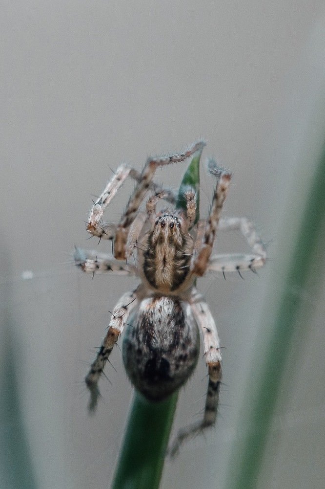 Photograph by Екатерина