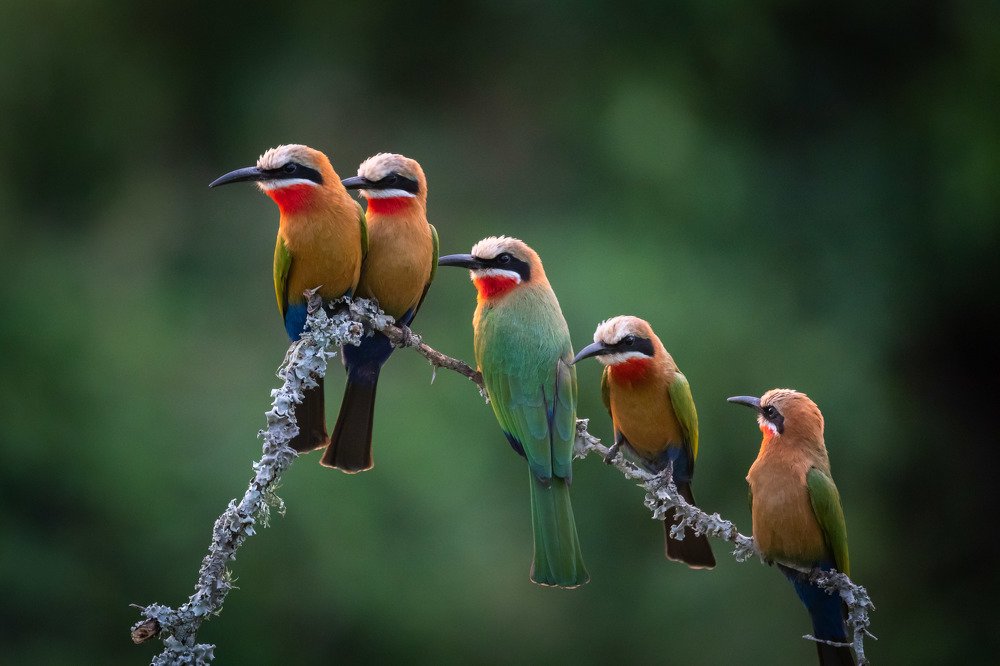 Photograph by Limor Bahar