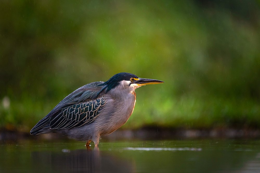 Photograph by Limor Bahar