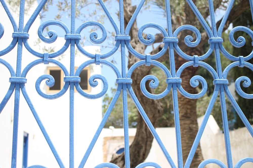 Photograph by Елена Копейкина