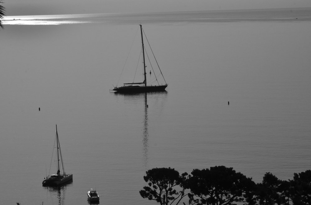 Photograph by Ольга Пацуло