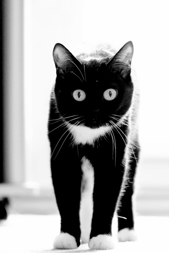 Photograph by Елена Рянцева