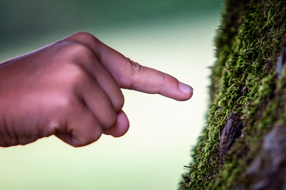 Photograph by Zdenka Janaskova