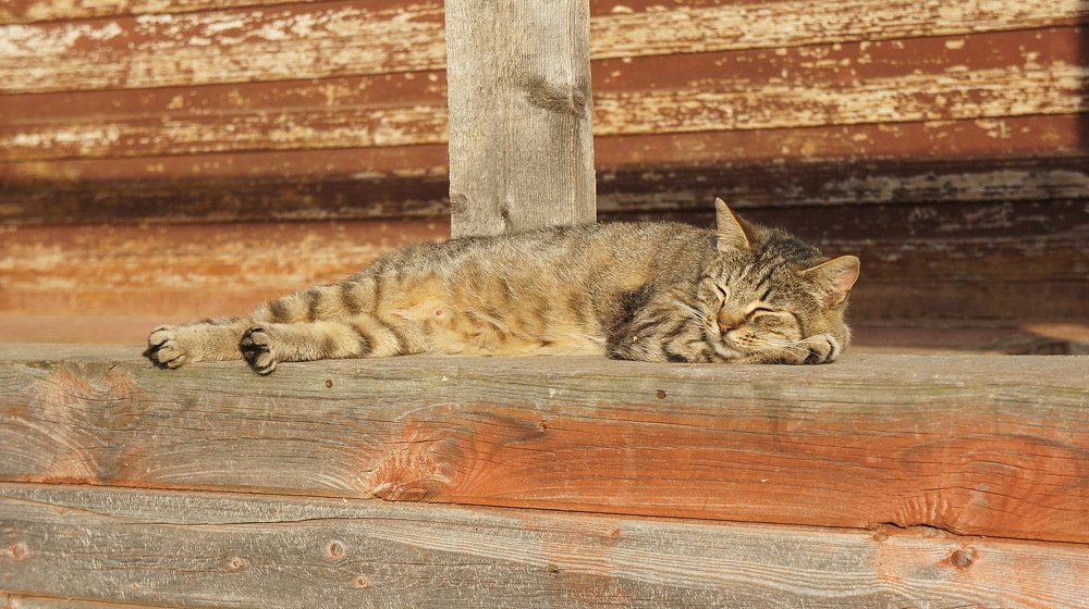 Photograph by Евгений Устинов