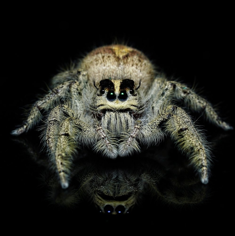 Photograph by Rinto Adhitama Wahjuni