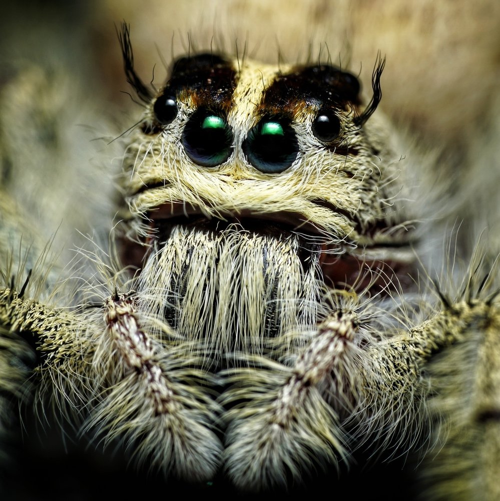 Photograph by Rinto Adhitama Wahjuni