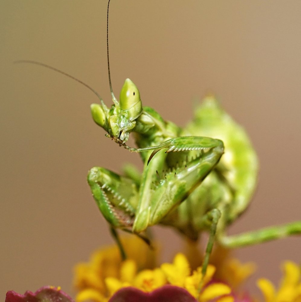 Photograph by Rinto Adhitama Wahjuni