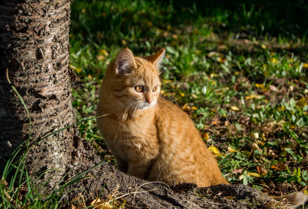 Photograph by Кирилл