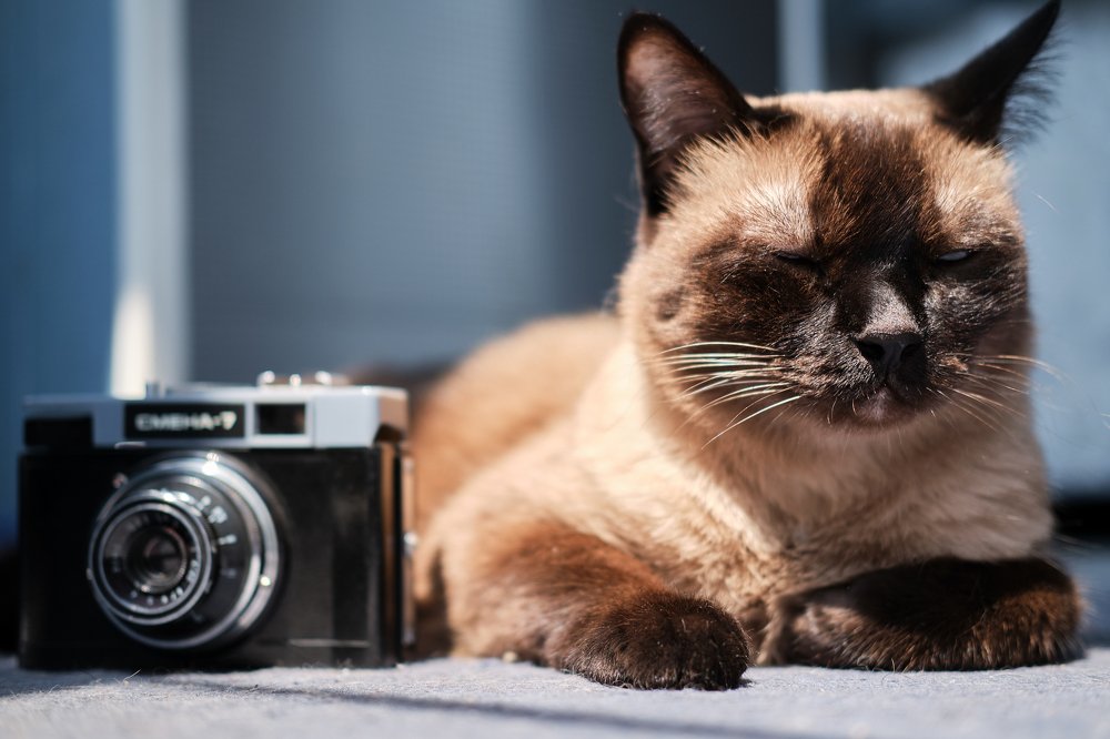 Photograph by Сергей Ганачьян