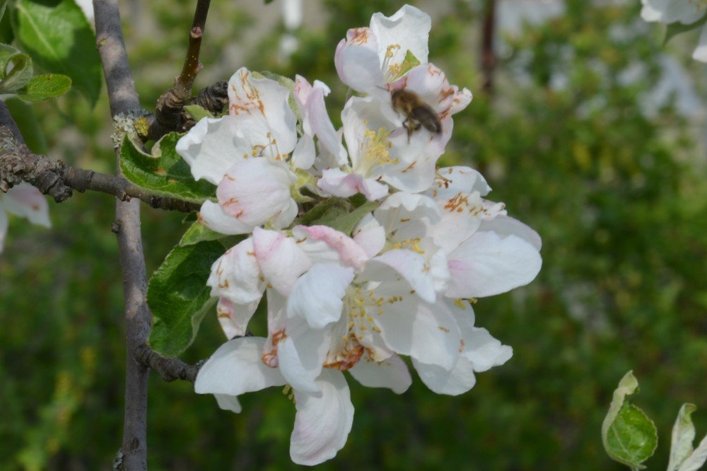 Photograph by Анатолий Зеленский