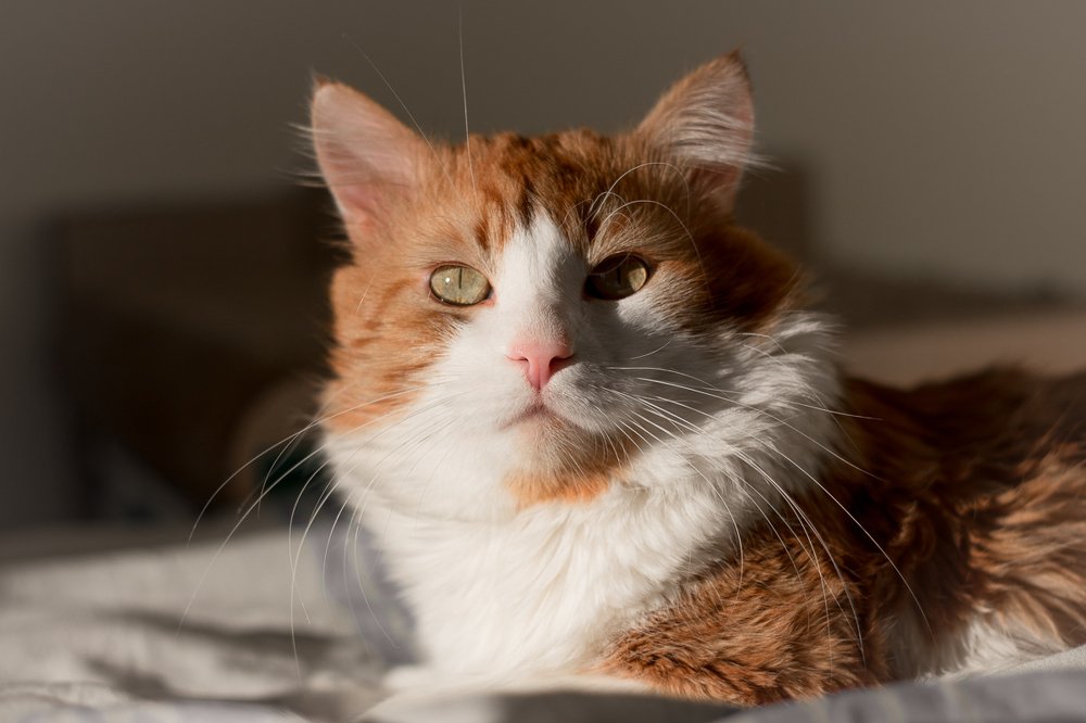 Photograph by Asia Amber