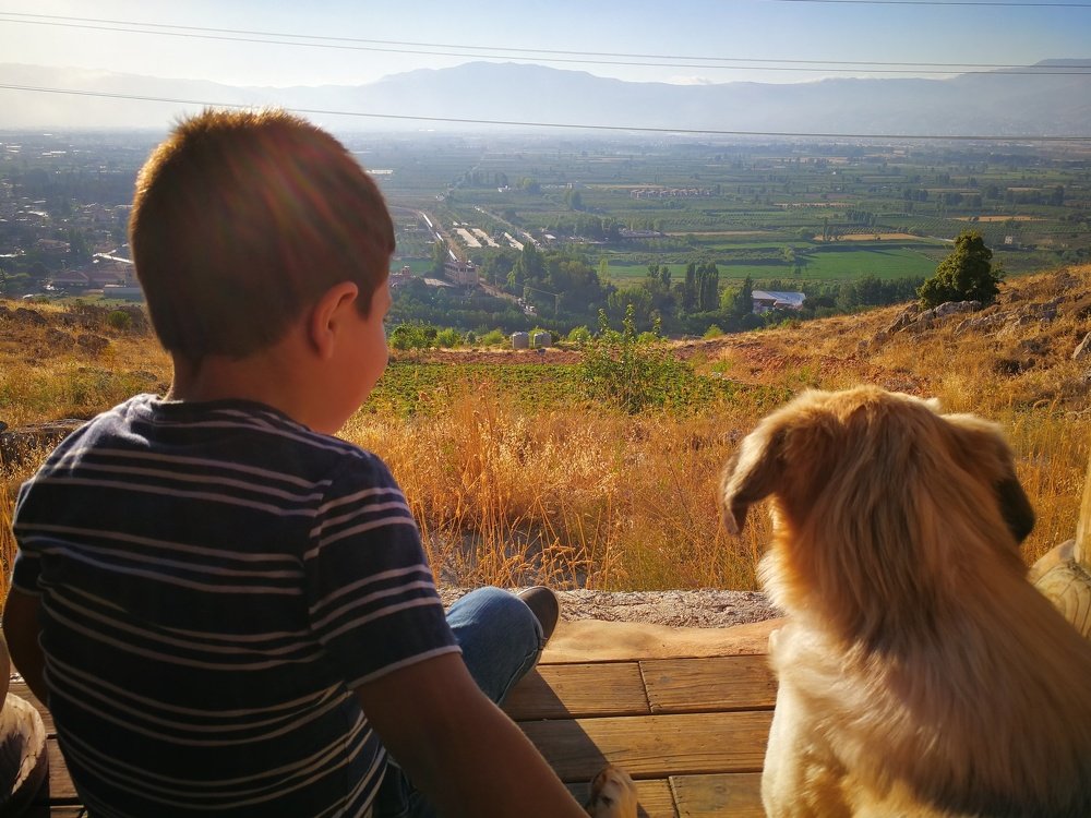 Photo #3606863