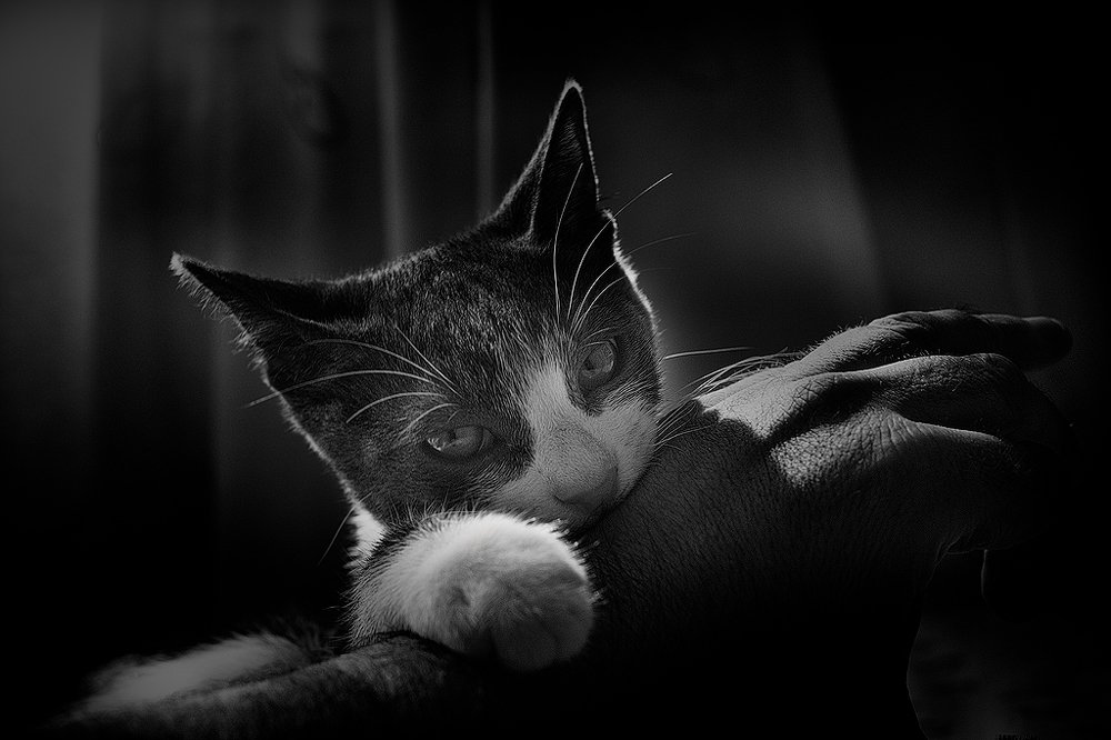 Photograph by JUAN LOPEZ