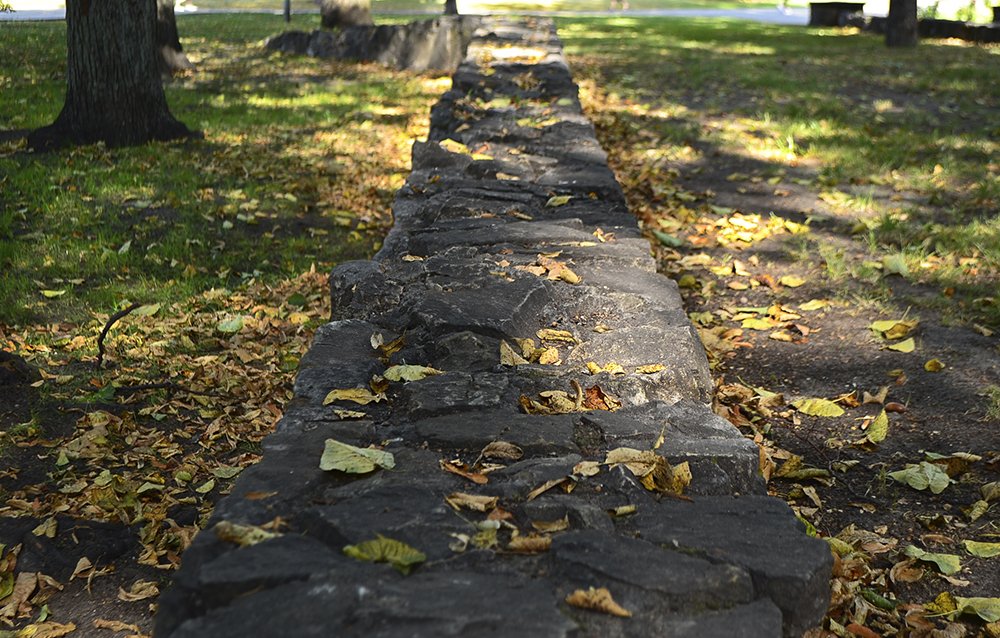 Фотография автора Алёна Морозова