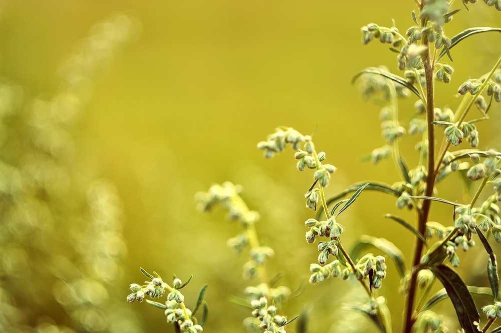 Photograph by Екатерина Бокова