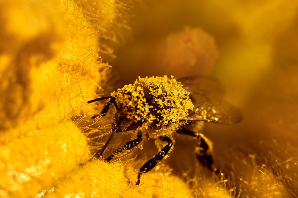 Photograph by Екатерина Бокова