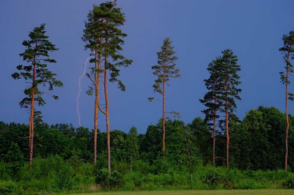 Photograph by Виталий Ивановский