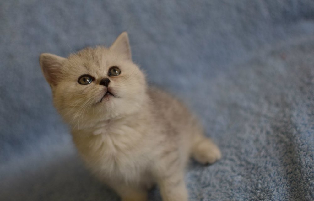 Photograph by Татьяна Козлова