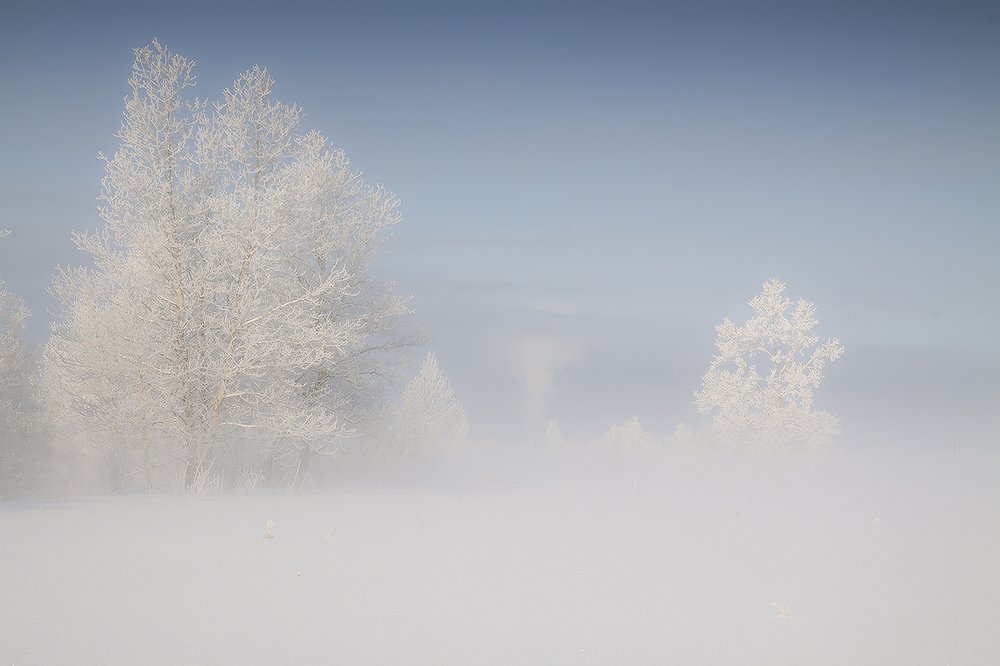 Photograph by Николай В.М.