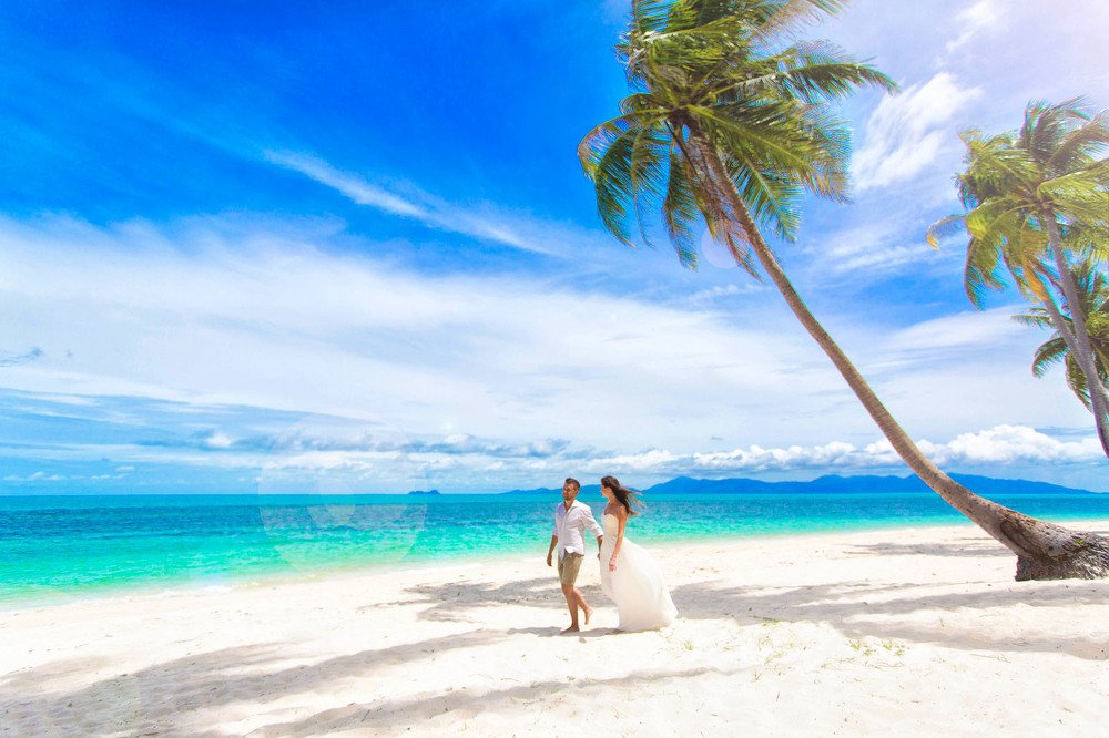 Photograph by Alex Dadushco