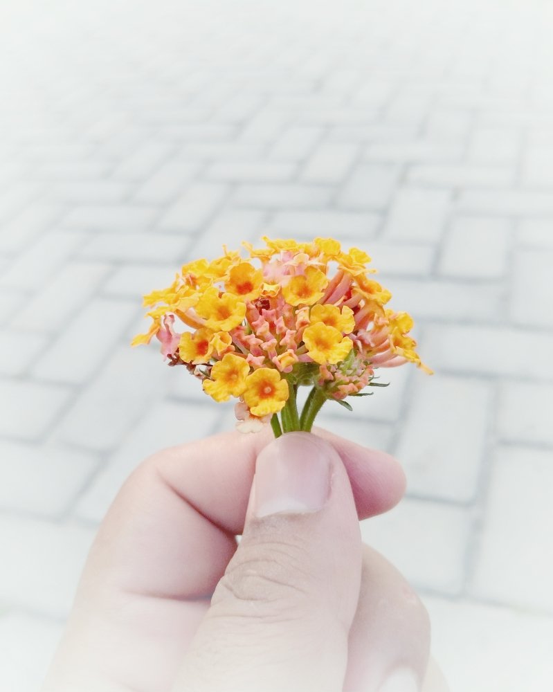 Photograph by  Gallery arief