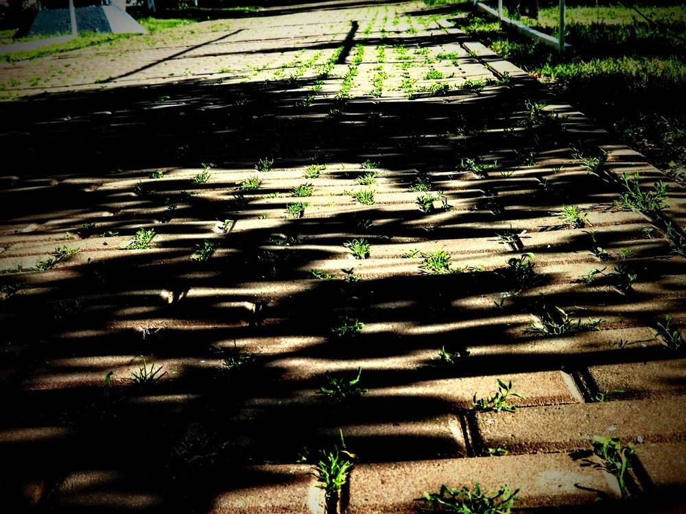 Photograph by Сергей Воронин