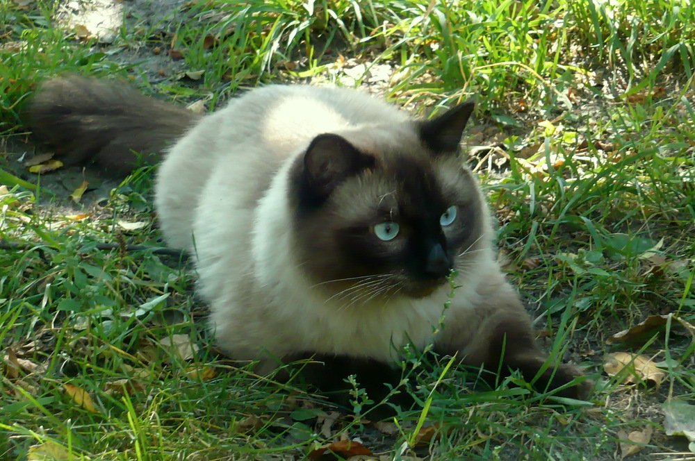 Photograph by НИНА АВЕРЬЯНОВА